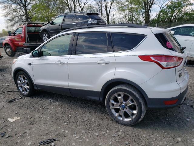 Photo 1 VIN: 1FMCU0HX7DUB22707 - FORD ESCAPE 