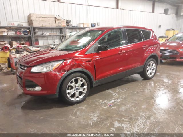 Photo 1 VIN: 1FMCU0HX7DUC55337 - FORD ESCAPE 