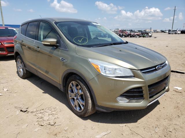 Photo 0 VIN: 1FMCU0HX8DUA88132 - FORD ESCAPE SEL 