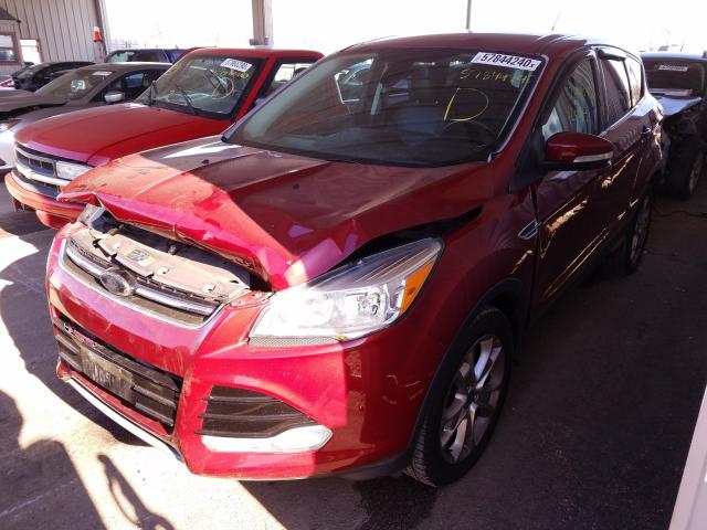 Photo 1 VIN: 1FMCU0HX9DUA88186 - FORD ESCAPE SEL 