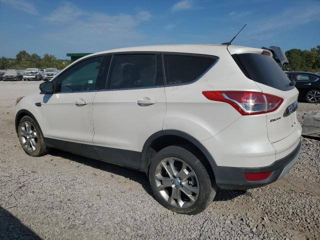 Photo 1 VIN: 1FMCU0HX9DUA95431 - FORD ESCAPE SEL 