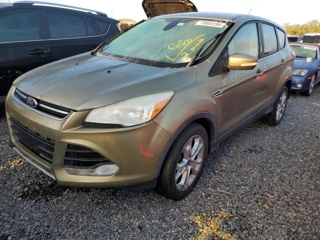 Photo 0 VIN: 1FMCU0HX9DUC42217 - FORD ESCAPE SEL 