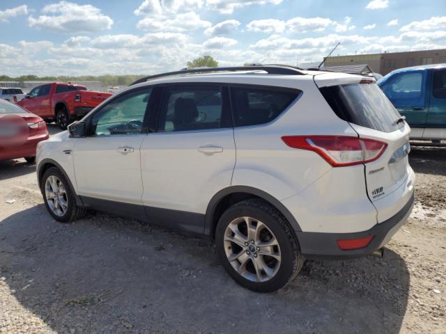 Photo 1 VIN: 1FMCU0HXXDUA16932 - FORD ESCAPE SEL 