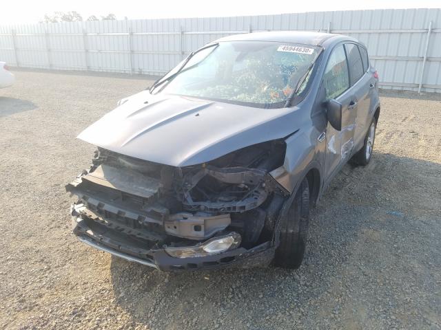 Photo 1 VIN: 1FMCU0HXXDUA79383 - FORD ESCAPE SEL 