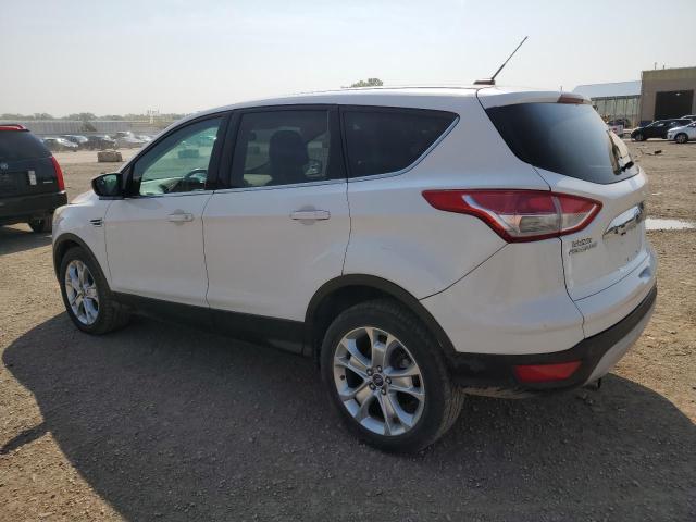 Photo 1 VIN: 1FMCU0HXXDUC73329 - FORD ESCAPE 