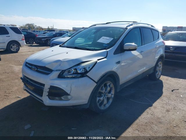 Photo 5 VIN: 1FMCU0J90DUB95252 - FORD ESCAPE 