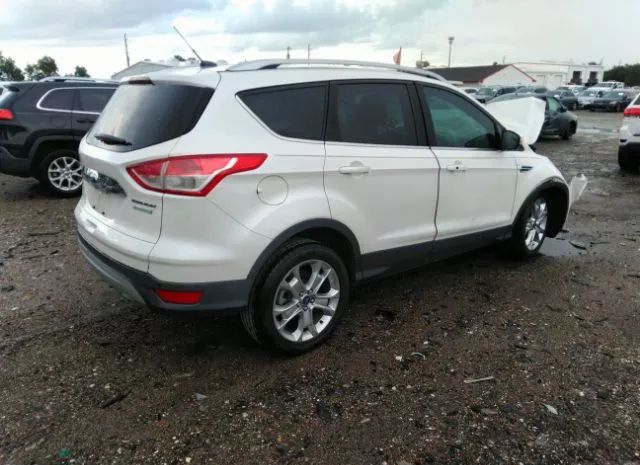 Photo 3 VIN: 1FMCU0J90EUA66932 - FORD ESCAPE 