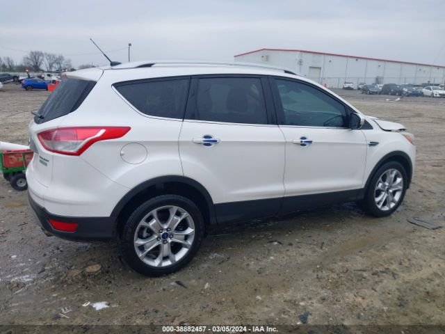 Photo 3 VIN: 1FMCU0J90EUB75049 - FORD ESCAPE 