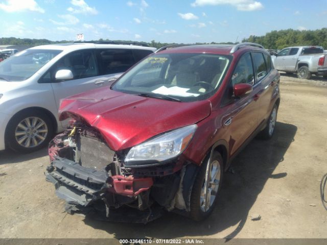 Photo 1 VIN: 1FMCU0J90EUD99566 - FORD ESCAPE 