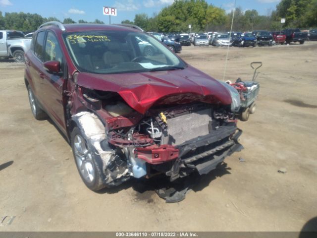 Photo 5 VIN: 1FMCU0J90EUD99566 - FORD ESCAPE 