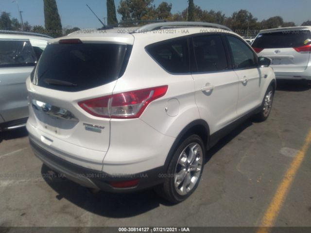 Photo 3 VIN: 1FMCU0J90GUA11836 - FORD ESCAPE 