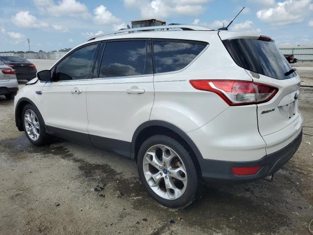 Photo 1 VIN: 1FMCU0J91DUA06737 - FORD ESCAPE 