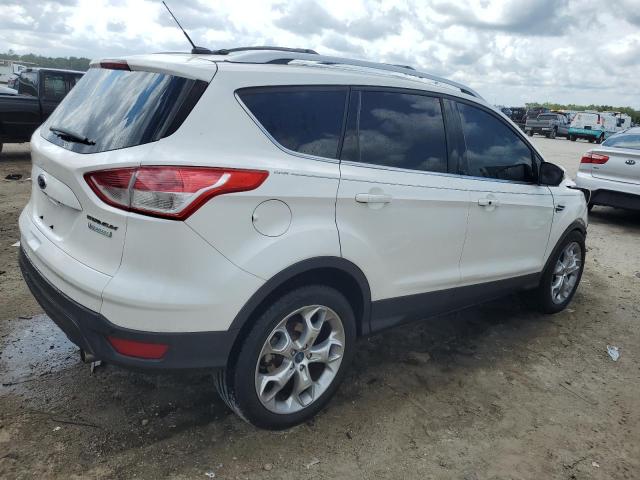 Photo 2 VIN: 1FMCU0J91DUA06737 - FORD ESCAPE 