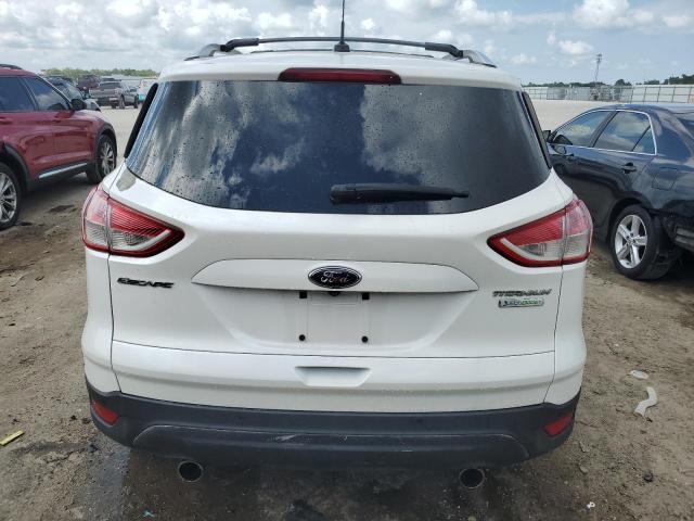 Photo 5 VIN: 1FMCU0J91DUA06737 - FORD ESCAPE 