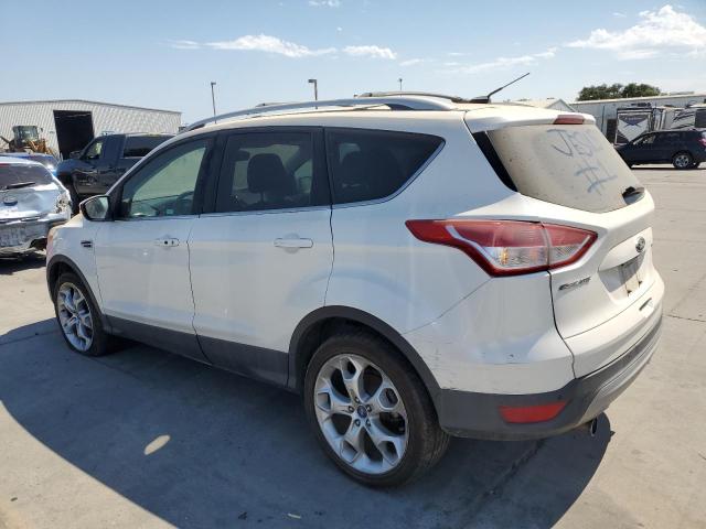 Photo 1 VIN: 1FMCU0J91DUB23704 - FORD ESCAPE 