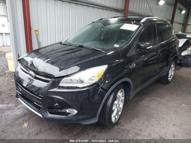 Photo 1 VIN: 1FMCU0J91DUB44102 - FORD ESCAPE 