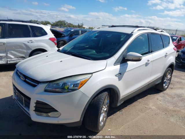 Photo 1 VIN: 1FMCU0J91EUA77941 - FORD ESCAPE 