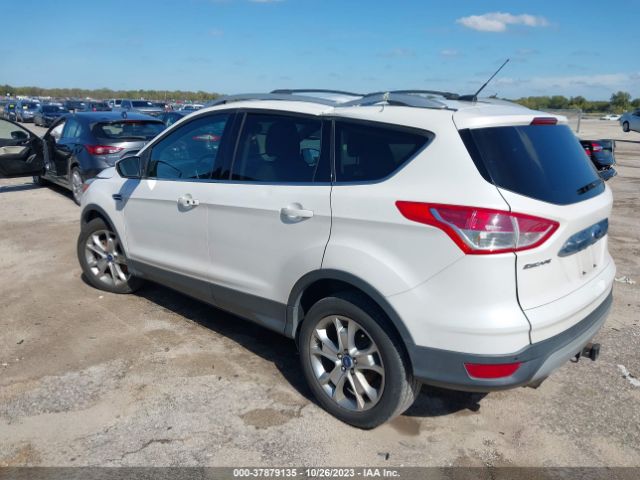 Photo 2 VIN: 1FMCU0J91EUA77941 - FORD ESCAPE 