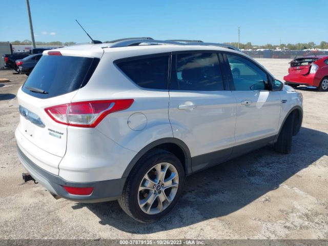 Photo 3 VIN: 1FMCU0J91EUA77941 - FORD ESCAPE 