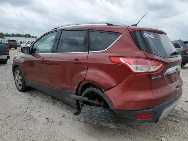 Photo 1 VIN: 1FMCU0J91EUB61645 - FORD ESCAPE 