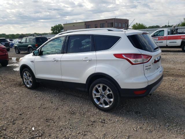 Photo 1 VIN: 1FMCU0J91EUD24617 - FORD ESCAPE 