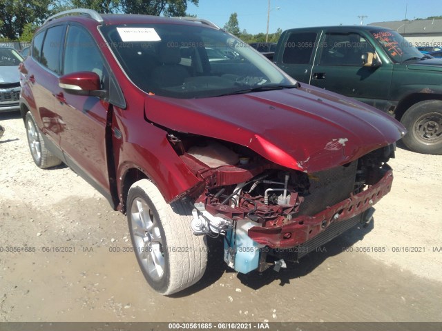 Photo 5 VIN: 1FMCU0J91EUE09764 - FORD ESCAPE 