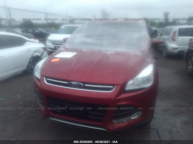 Photo 5 VIN: 1FMCU0J92EUA60288 - FORD ESCAPE 