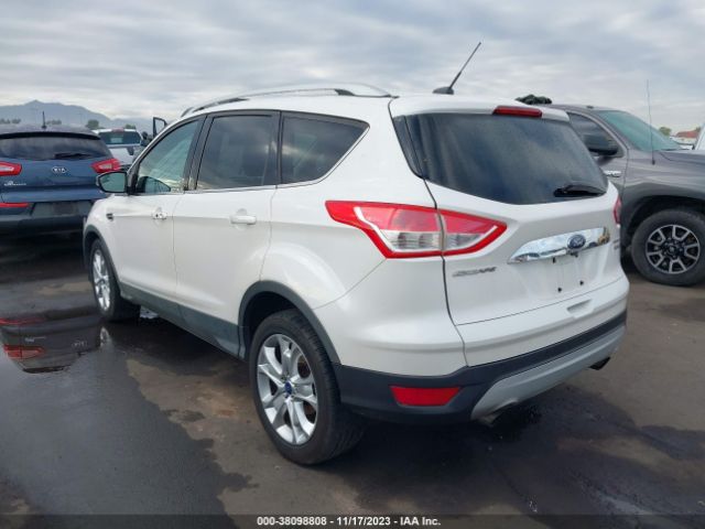 Photo 2 VIN: 1FMCU0J92EUB66398 - FORD ESCAPE 