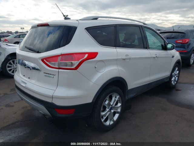 Photo 3 VIN: 1FMCU0J92EUB66398 - FORD ESCAPE 