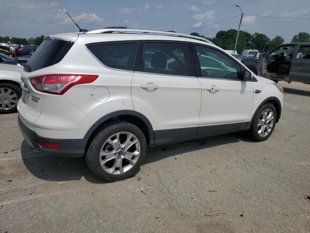 Photo 2 VIN: 1FMCU0J92EUC36238 - FORD ESCAPE TIT 