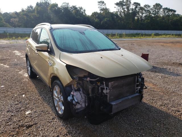 Photo 0 VIN: 1FMCU0J92EUD14582 - FORD ESCAPE 