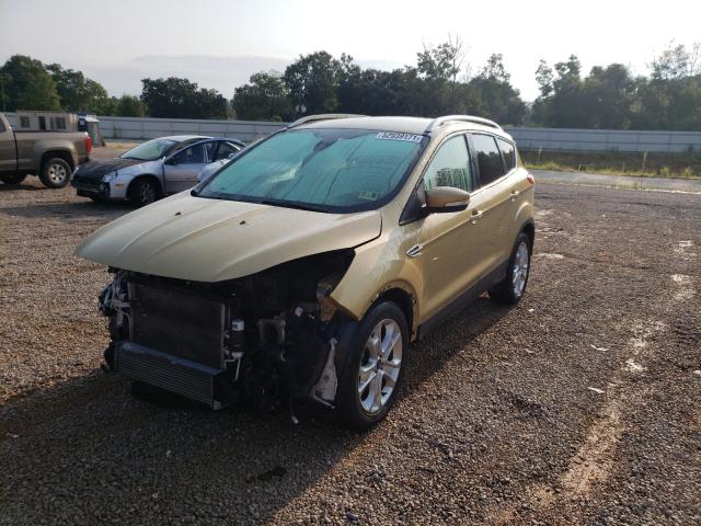 Photo 1 VIN: 1FMCU0J92EUD14582 - FORD ESCAPE 