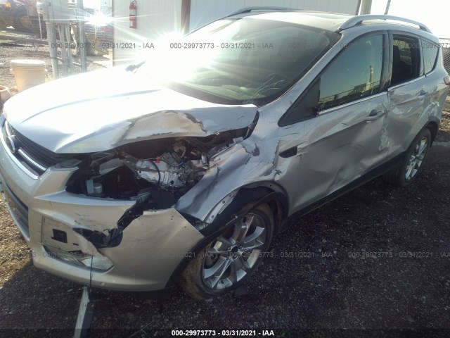 Photo 5 VIN: 1FMCU0J92FUA16289 - FORD ESCAPE 