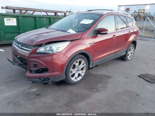 Photo 1 VIN: 1FMCU0J93EUA45170 - FORD ESCAPE 