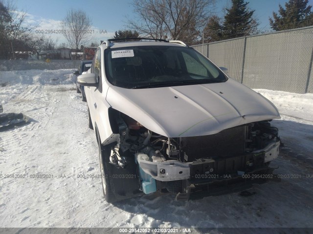 Photo 5 VIN: 1FMCU0J94DUB22630 - FORD ESCAPE 