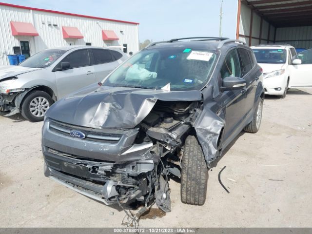 Photo 1 VIN: 1FMCU0J94DUD53382 - FORD ESCAPE 