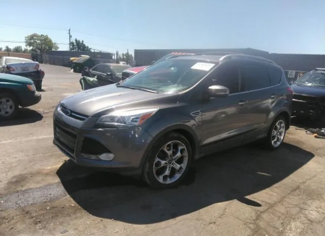 Photo 1 VIN: 1FMCU0J94DUD54631 - FORD ESCAPE 