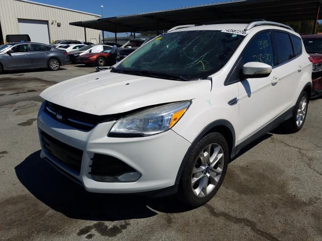 Photo 1 VIN: 1FMCU0J94EUB99161 - FORD ESCAPE 