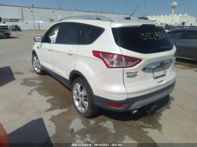 Photo 2 VIN: 1FMCU0J94GUA83896 - FORD ESCAPE 