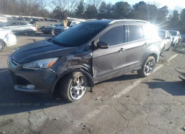 Photo 1 VIN: 1FMCU0J95DUB20952 - FORD ESCAPE 