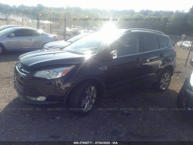 Photo 1 VIN: 1FMCU0J95EUA39824 - FORD ESCAPE 