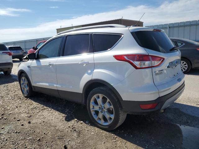 Photo 1 VIN: 1FMCU0J95EUA70295 - FORD ESCAPE 