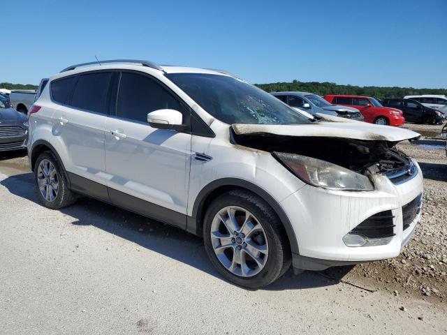 Photo 3 VIN: 1FMCU0J95EUA70295 - FORD ESCAPE 