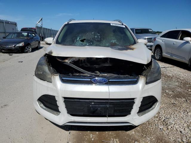 Photo 4 VIN: 1FMCU0J95EUA70295 - FORD ESCAPE 