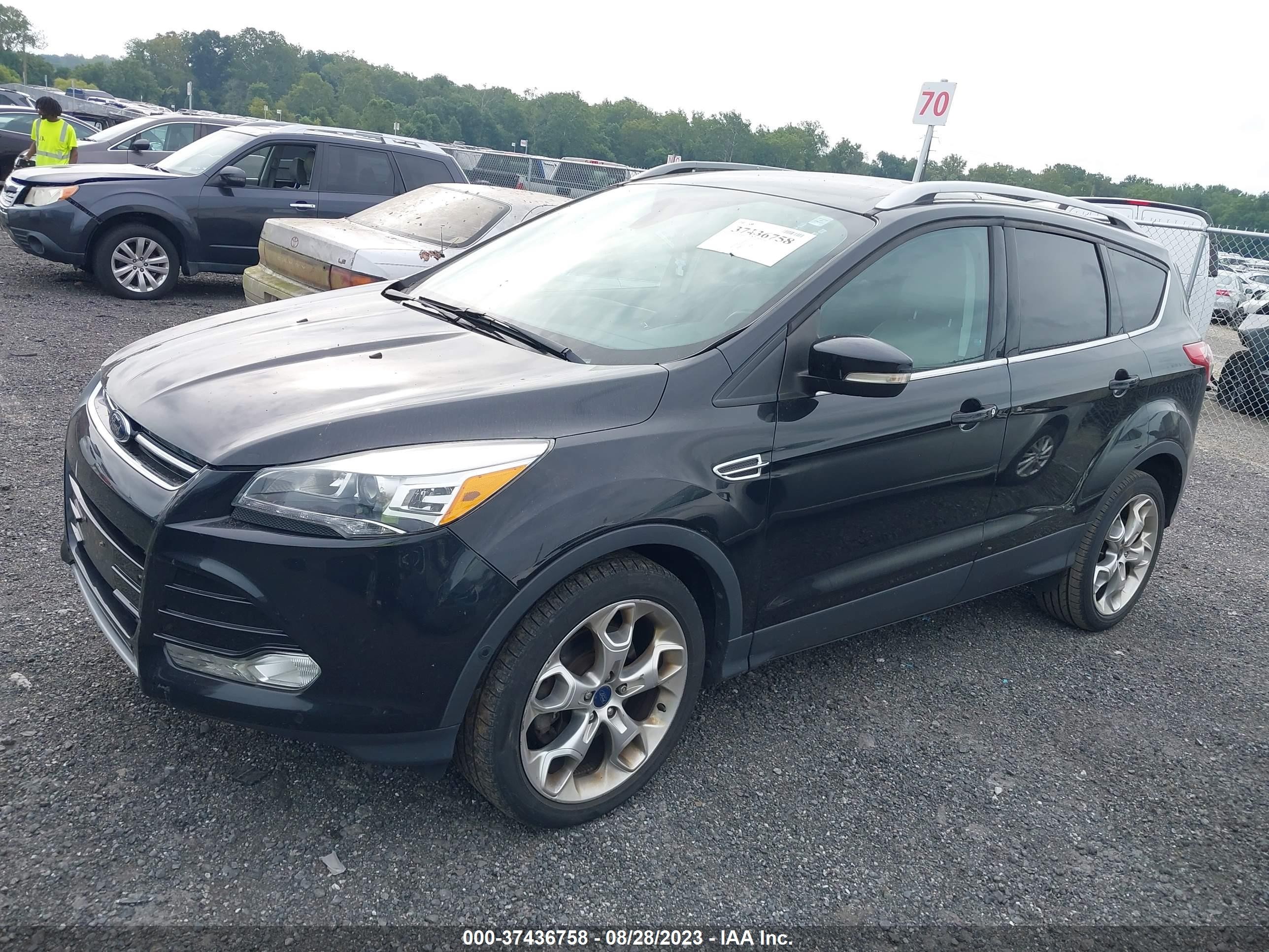 Photo 1 VIN: 1FMCU0J95EUB69568 - FORD ESCAPE 