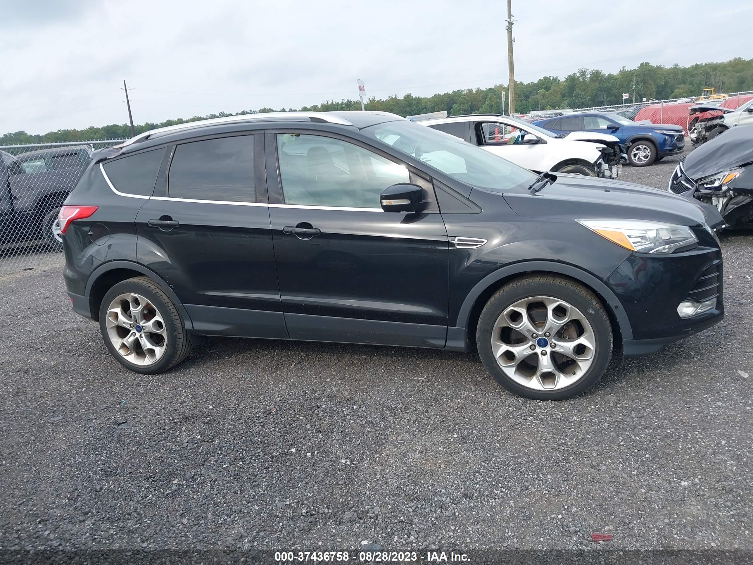 Photo 12 VIN: 1FMCU0J95EUB69568 - FORD ESCAPE 