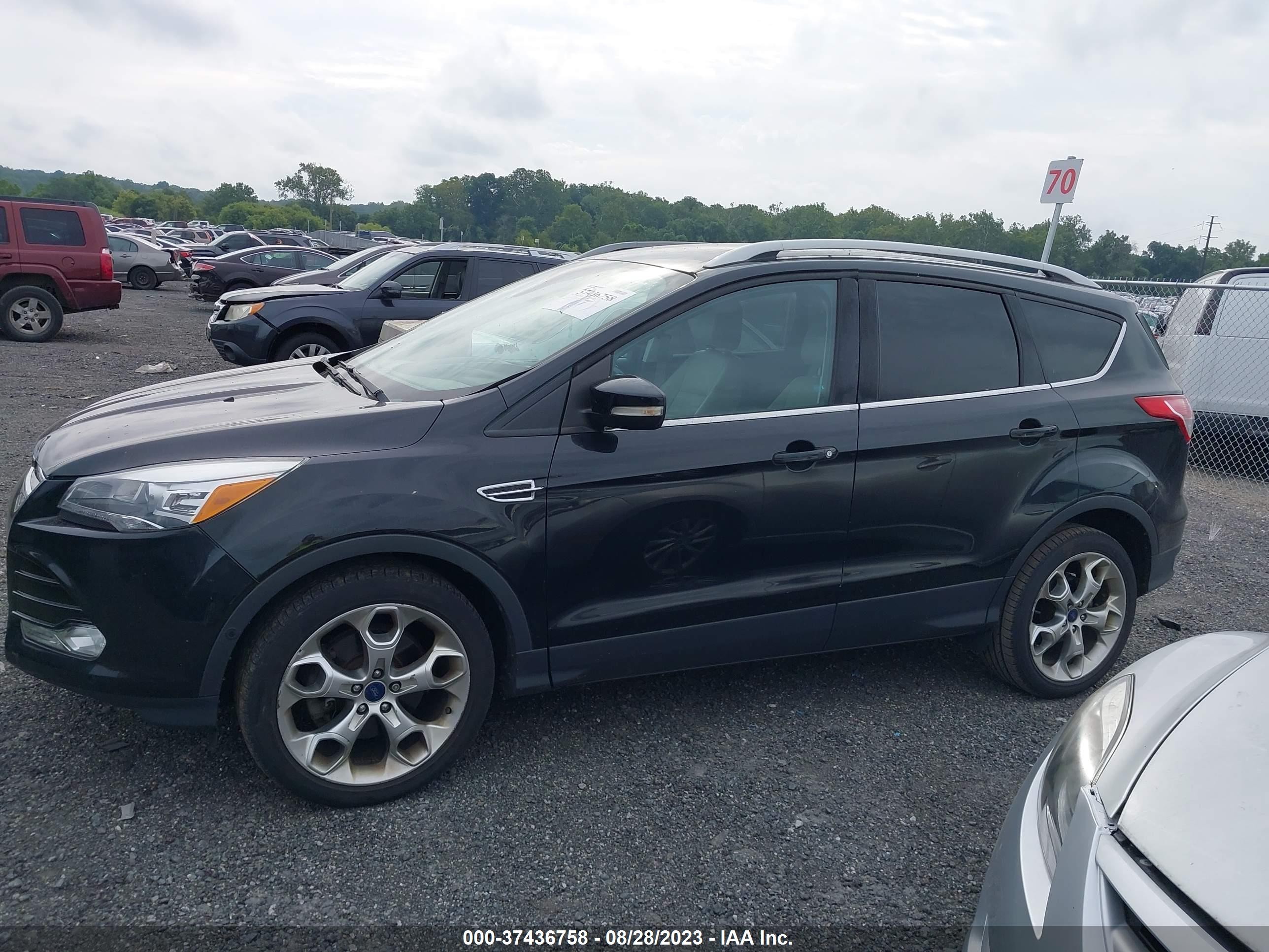 Photo 13 VIN: 1FMCU0J95EUB69568 - FORD ESCAPE 