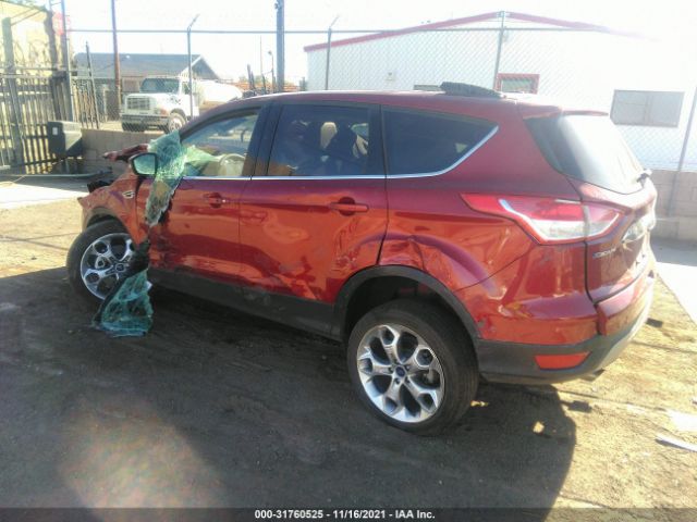 Photo 2 VIN: 1FMCU0J95EUE53489 - FORD ESCAPE 