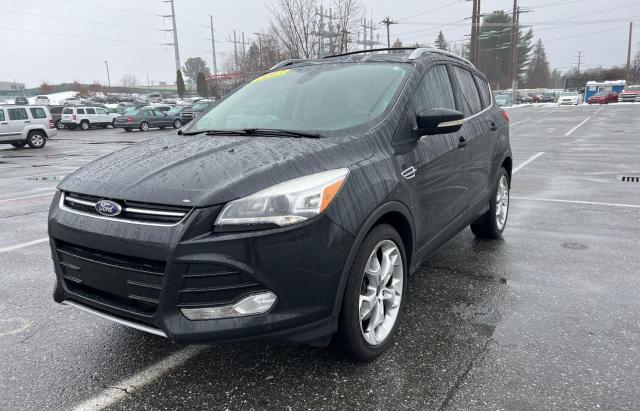 Photo 1 VIN: 1FMCU0J96DUB25156 - FORD ESCAPE TIT 