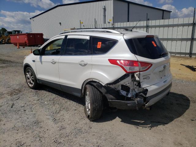 Photo 1 VIN: 1FMCU0J96DUB90282 - FORD ESCAPE 